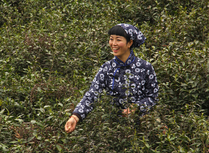 私密房间·红